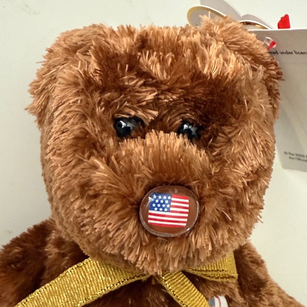 2002 FIFA World Cup Champion the Bear - United States - Beanie BABY